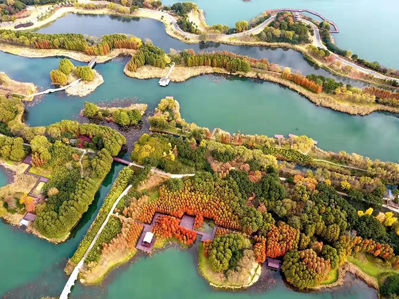 2026年国际足联世界杯 - 官方中文网站(FIFA World Cup 2026)